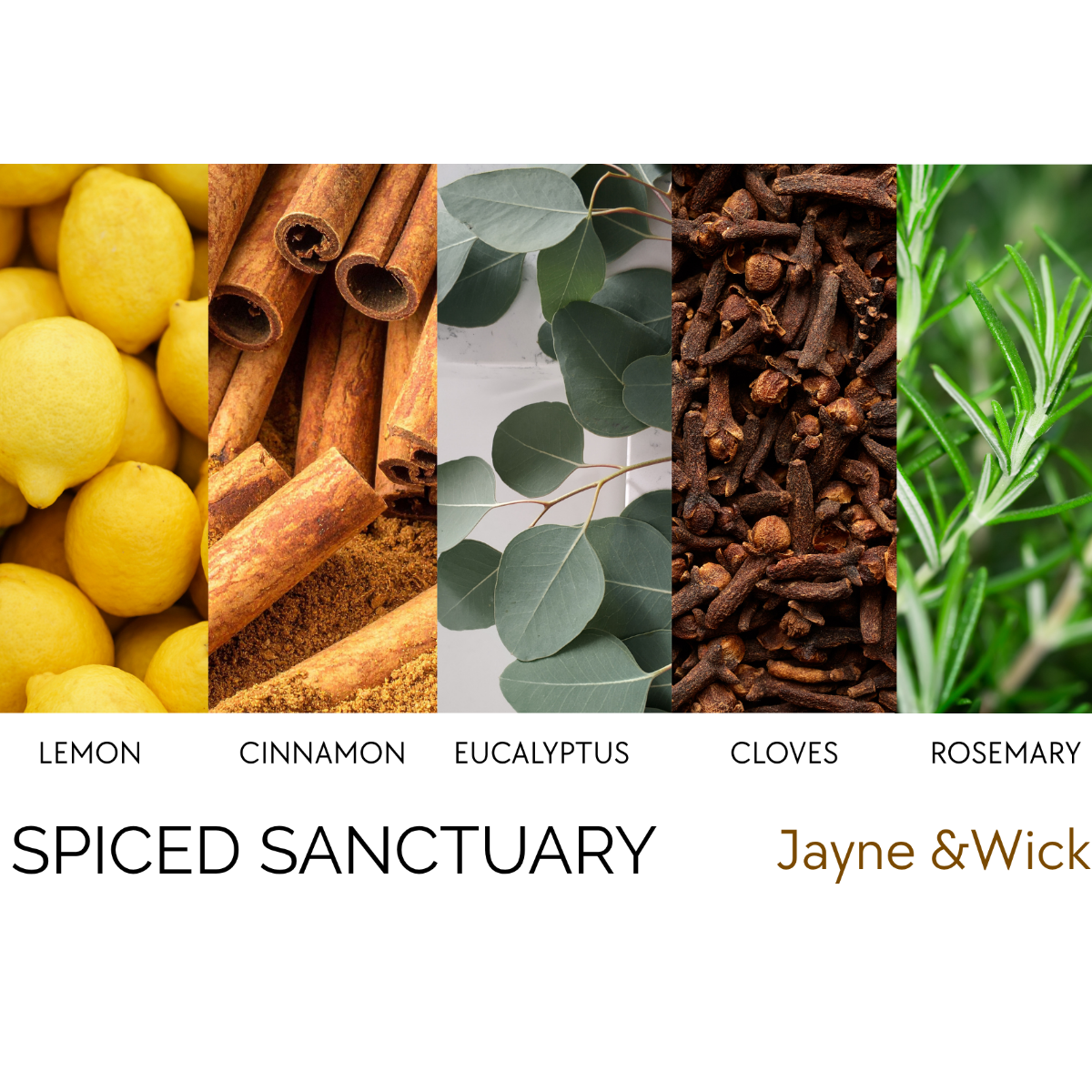 Spiced Sanctuary - Protective Candle