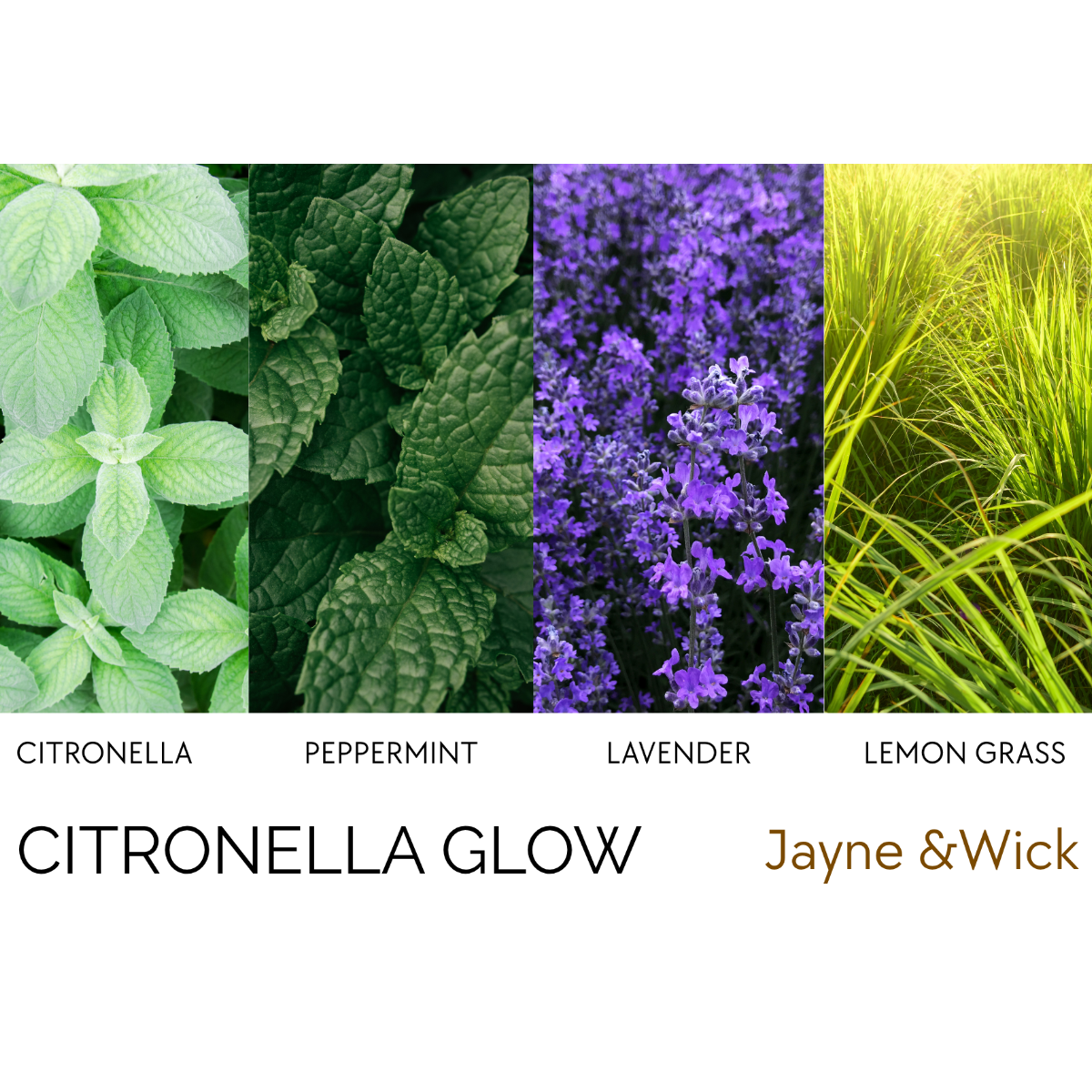 Citronella Glow - Fresh Scented Candle