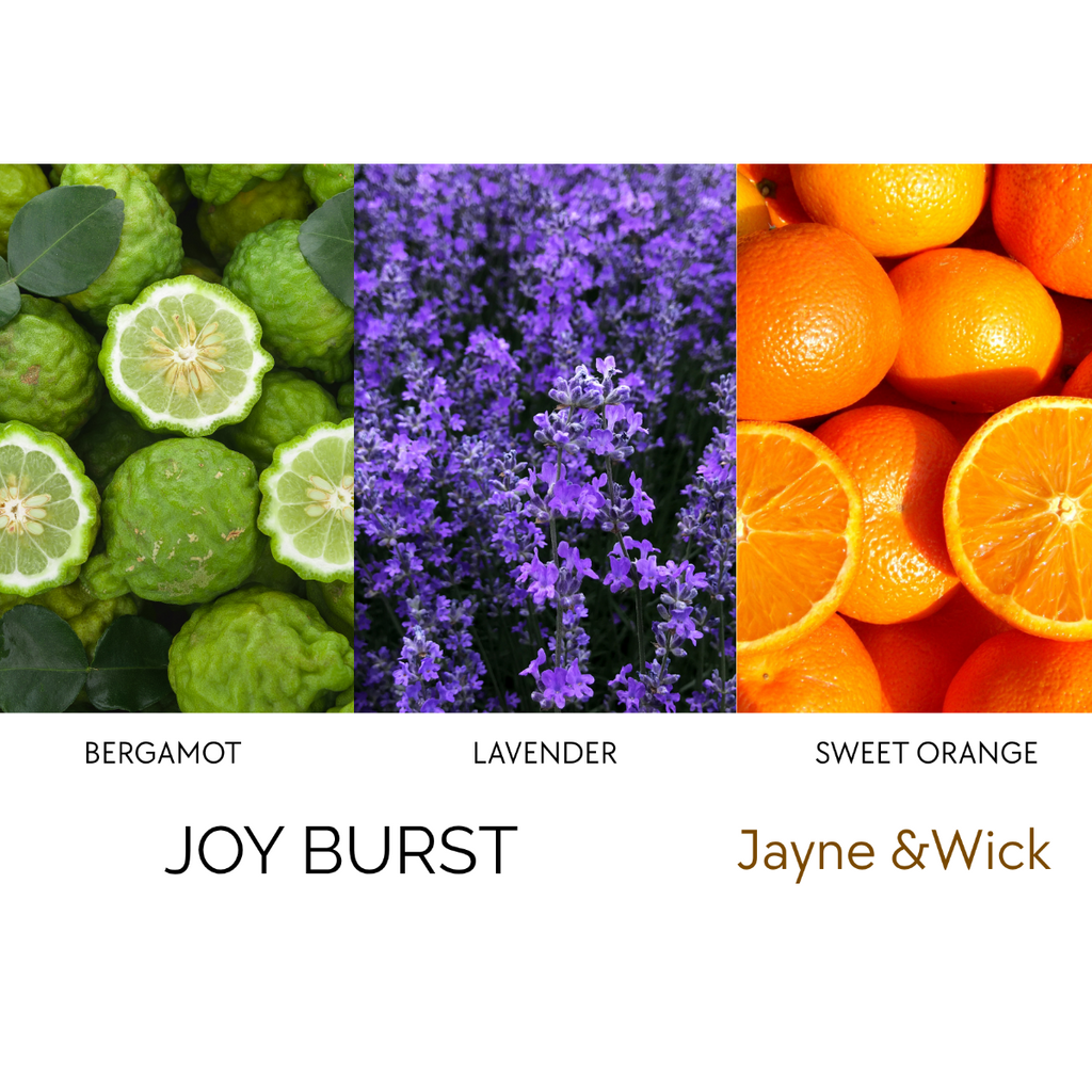 Apothecary Single-Wick Soy Candle Refills