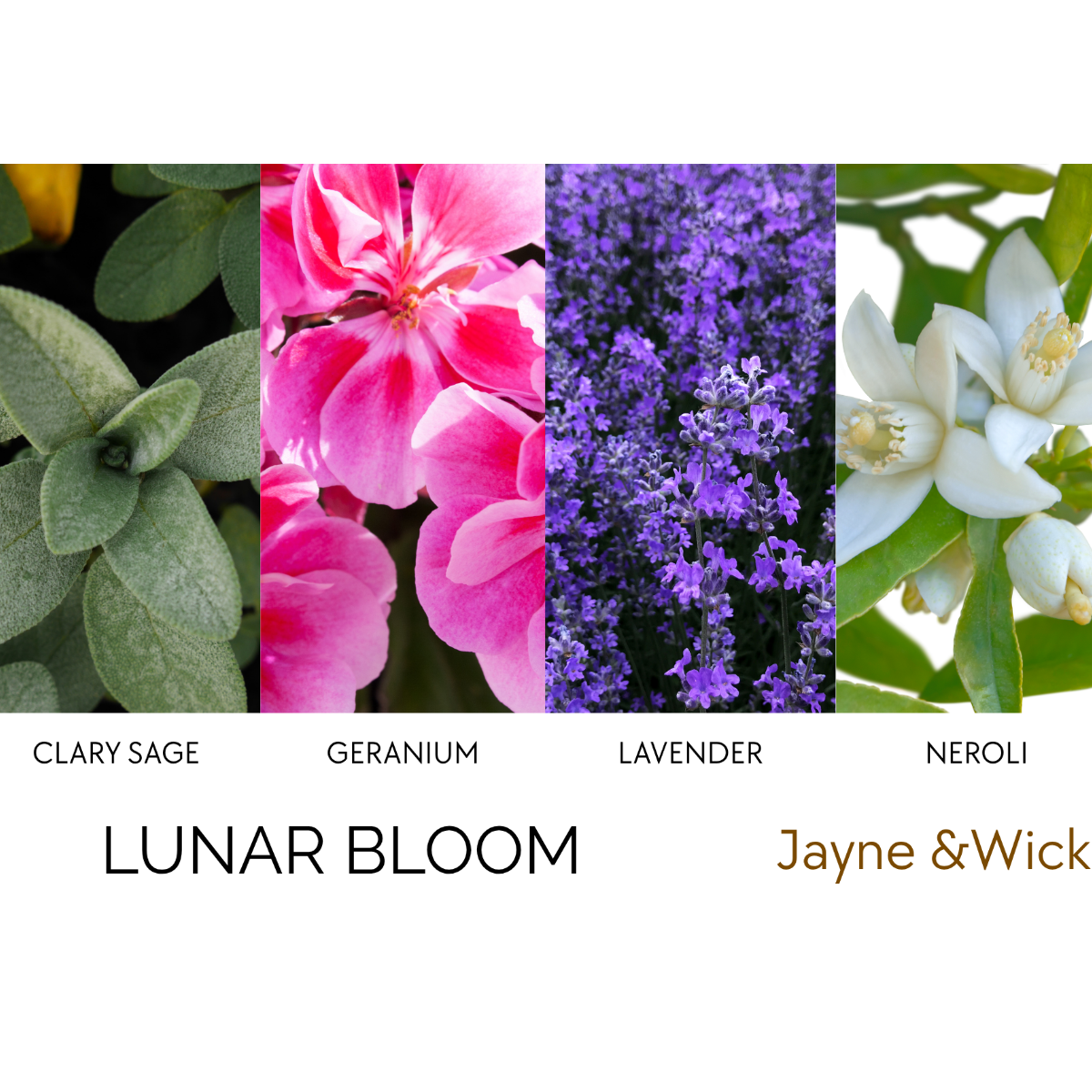 Lunar Bloom - Calming Floral Herbal Candle