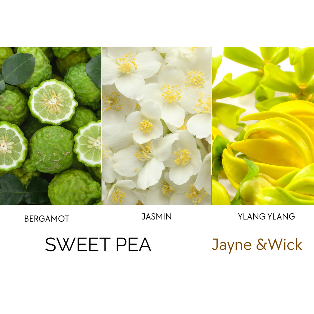 Apothecary Single-Wick Soy Candle Refills