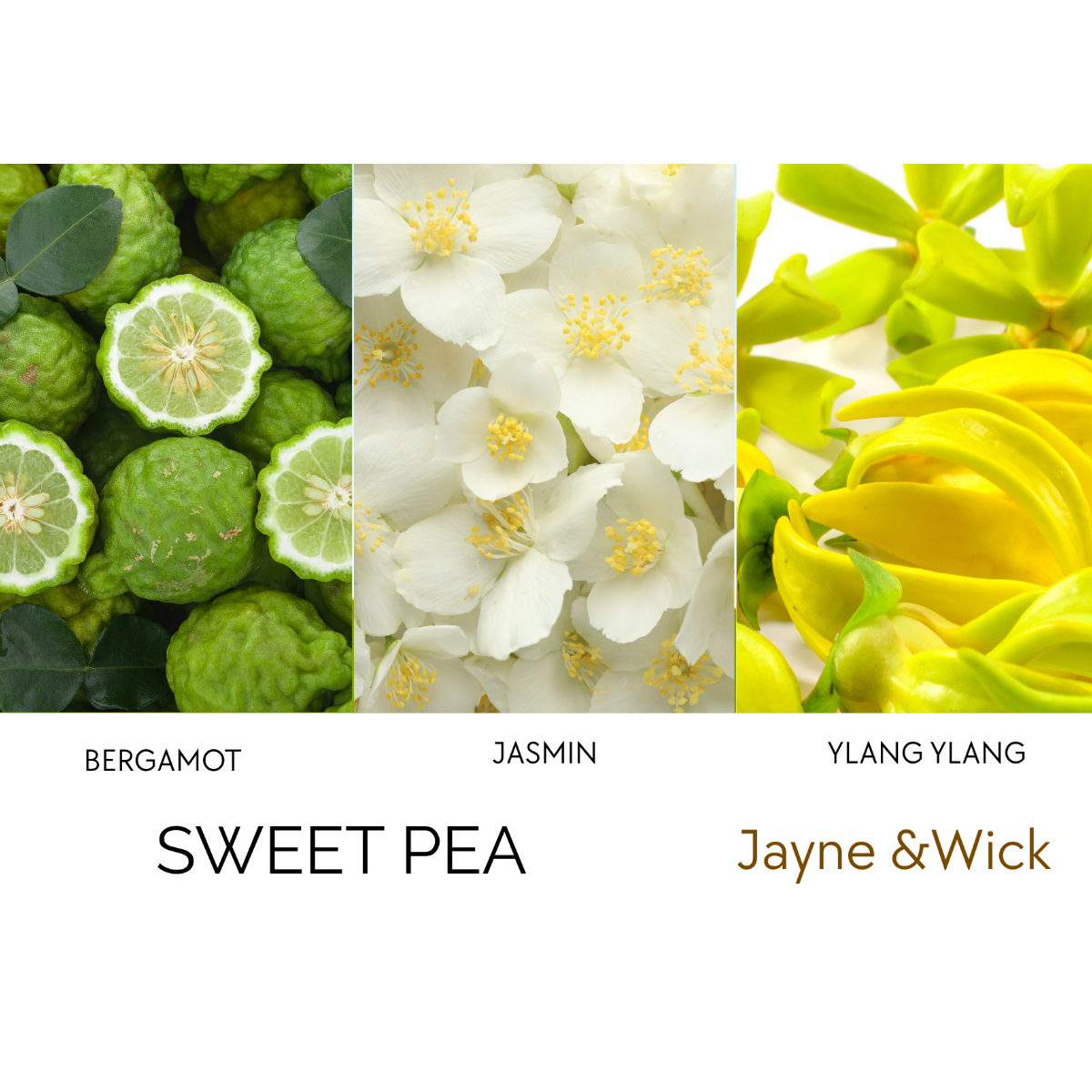 Apothecary Single-Wick Soy Candle Refills