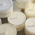 Tealight Discovery Cups – Scent Sampler Set